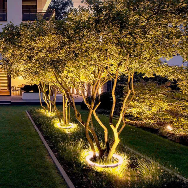 LED trang trí cây 2